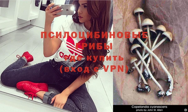 метадон Медногорск