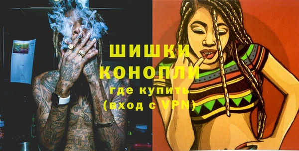 сатива Лабытнанги