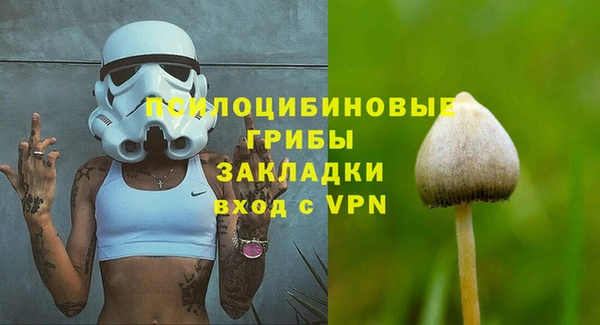 сатива Лабытнанги