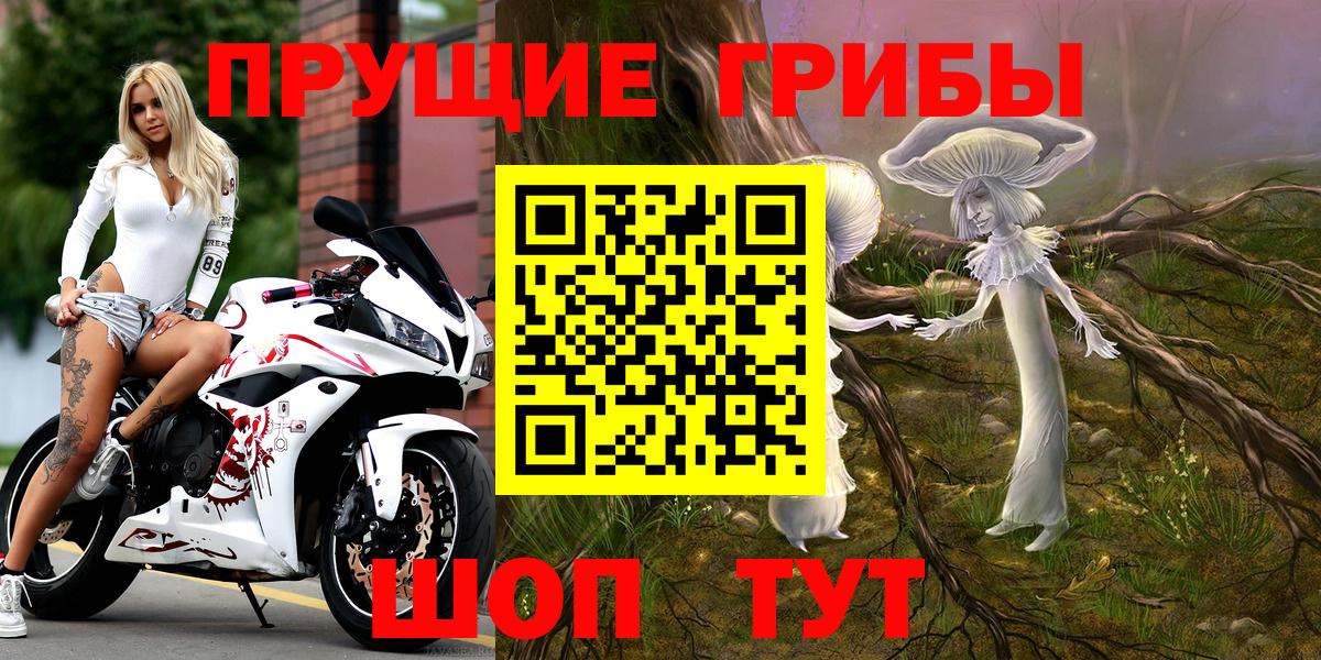Псилоцибиновые грибы Psilocybine cubensis Элиста